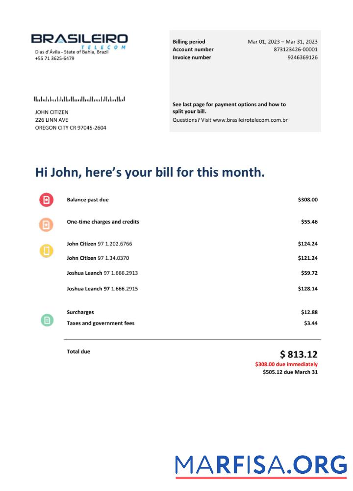 Blank Brazil Braziliero Telecom telecommunication bill Word and PDF template